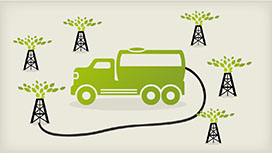 Staygreen Buyer