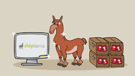 shipllama