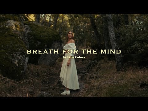 Breath for the Mind - Nature Film with BMPCC6K