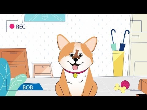 Animated Explainer Video for PawHi | Cartoon Animation