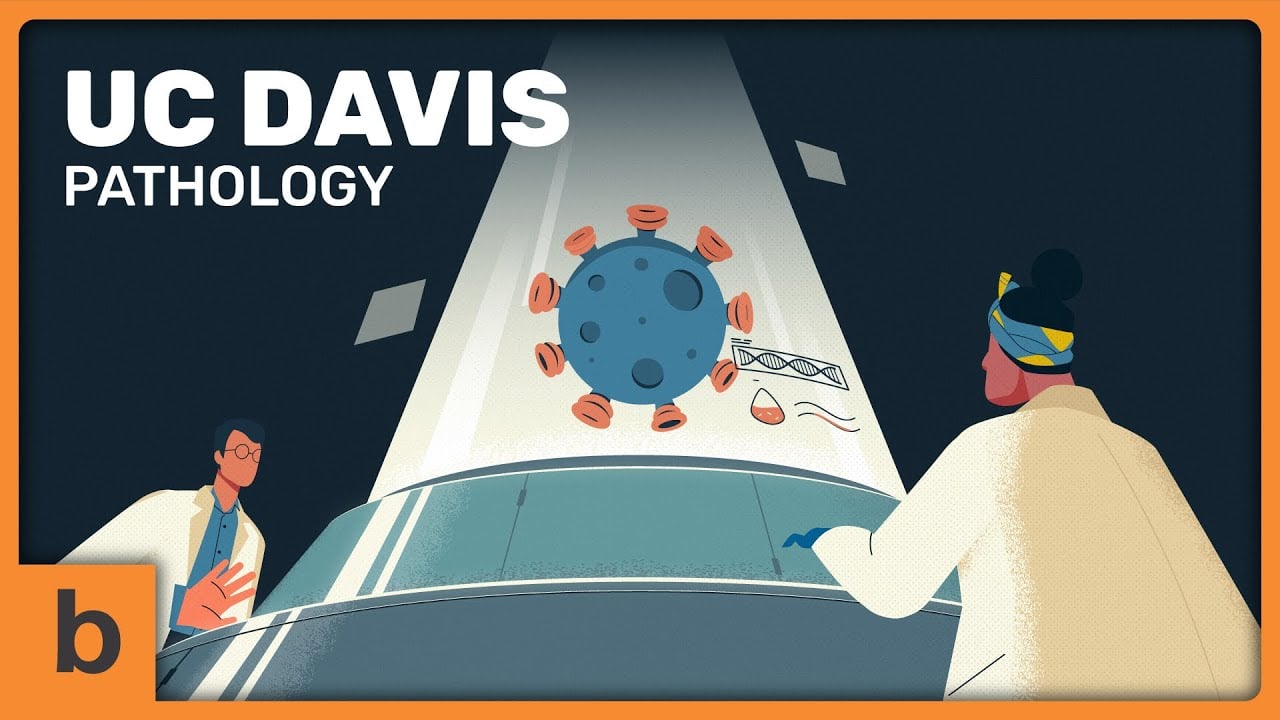 Explainer Video for UC Davis Pathology | Motion with Characters