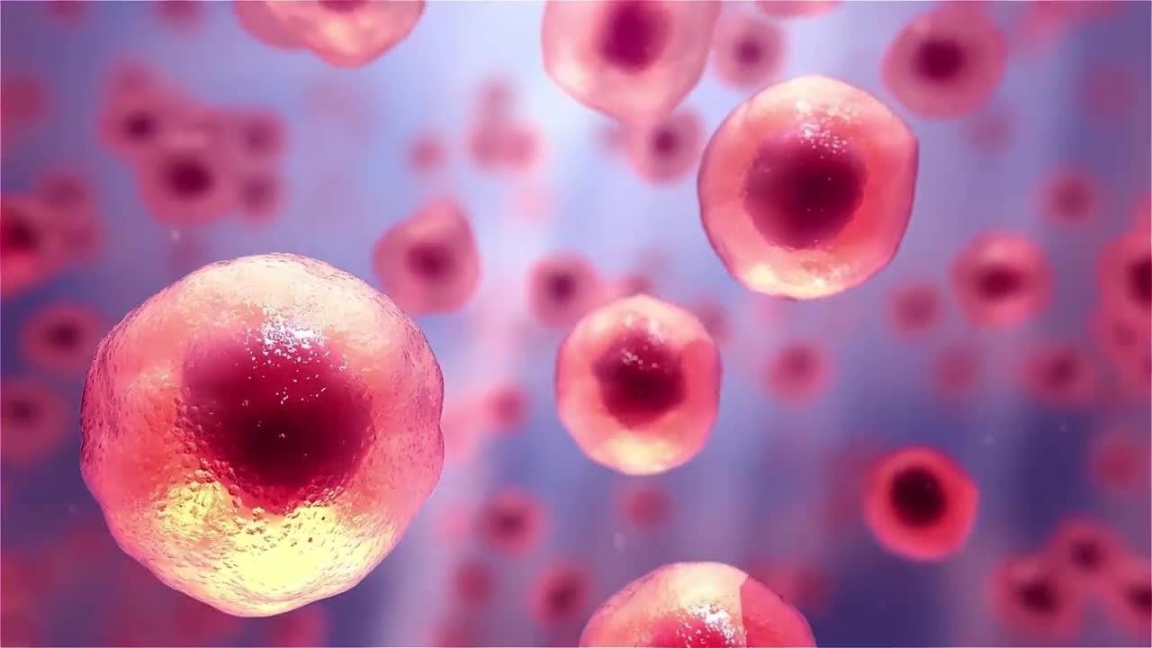 A Cell Therapy Journey from Vein to Vein