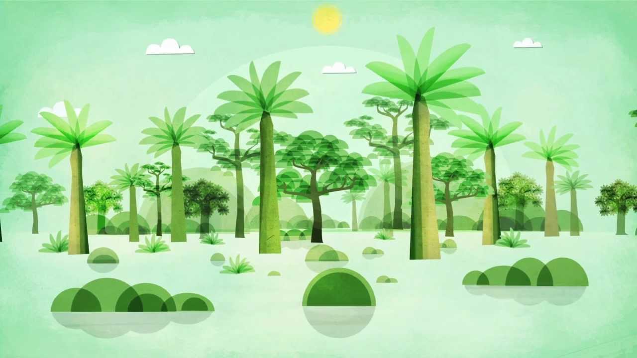 'Dr. Bronner's Fair Trade Palm Oil: Animated' and a Crowdfunding Appeal