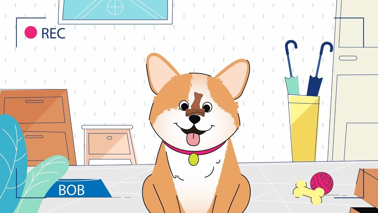 Animated Explainer Video for PawHi | Cartoon Animation