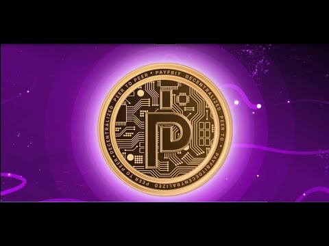 PayFbit-Unique blockchain based crypto-assets ecosystem of the future